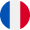 French flag button to change the language to French